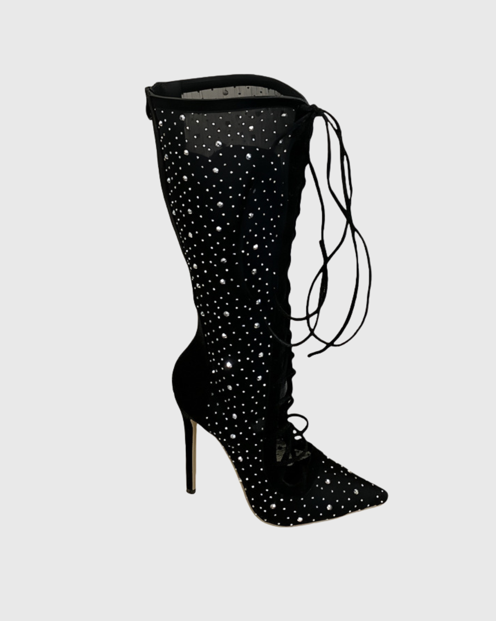 Irmina Embellished Knee Hight Boots In Black