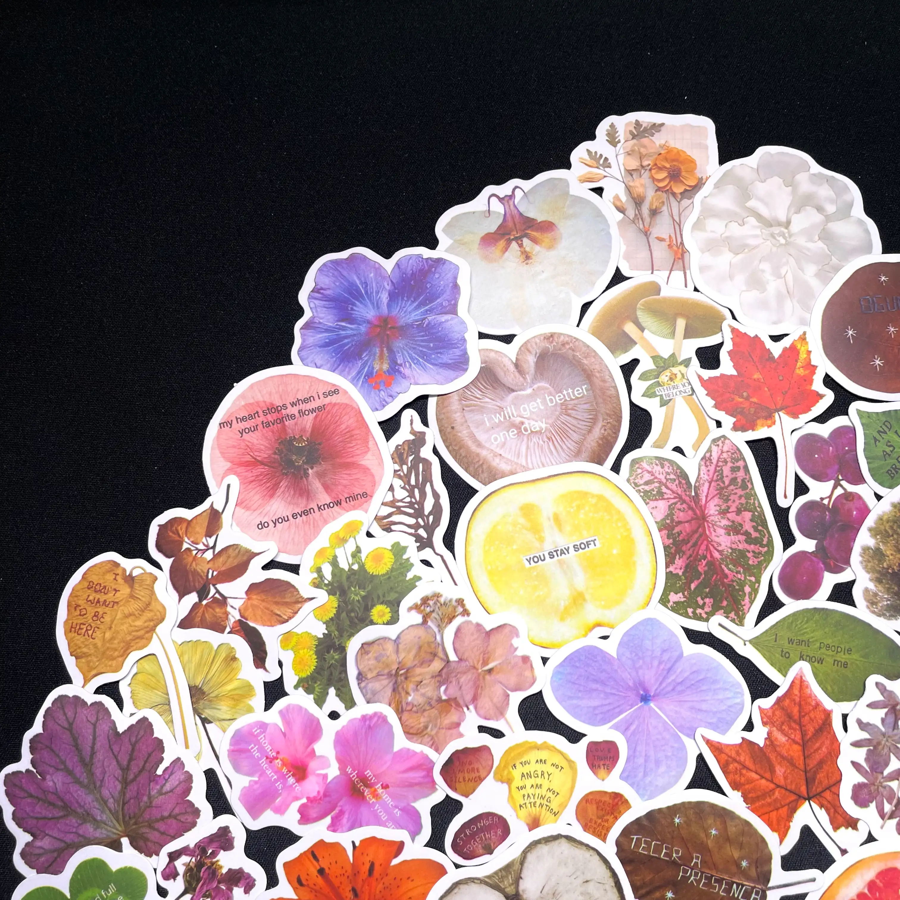 Blooming Whispers