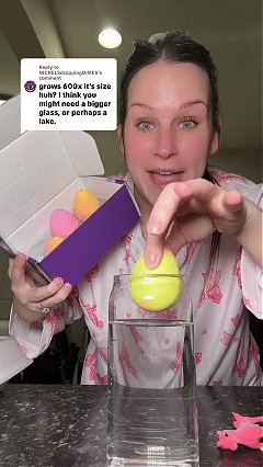 Hatching Surprise Eggs 6 pack