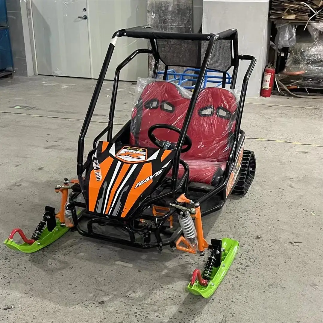 QIQU Heavy-Duty Steel Frame Dual Disc Brakes 200KG Load Capacity 48V800W High-Torque Two-Seater Electric Snowmobile