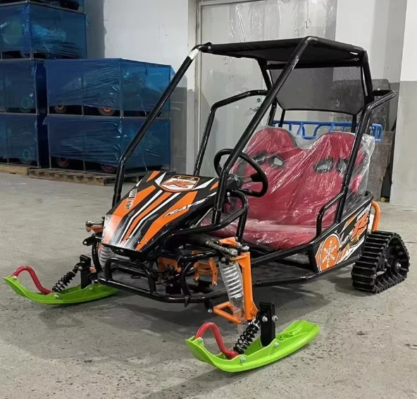 QIQU Heavy-Duty Steel Frame Dual Disc Brakes 200KG Load Capacity 48V800W High-Torque Two-Seater Electric Snowmobile