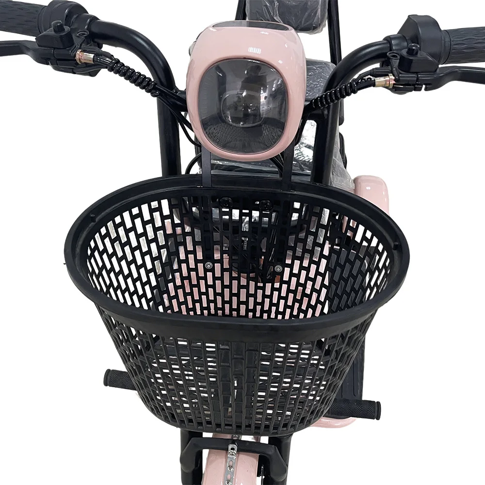 Holladay Small Electric Tricycles Adult Parent-child Electric City Scooter Bicycles Urban Mini Pet Scooters for Walking Dogs