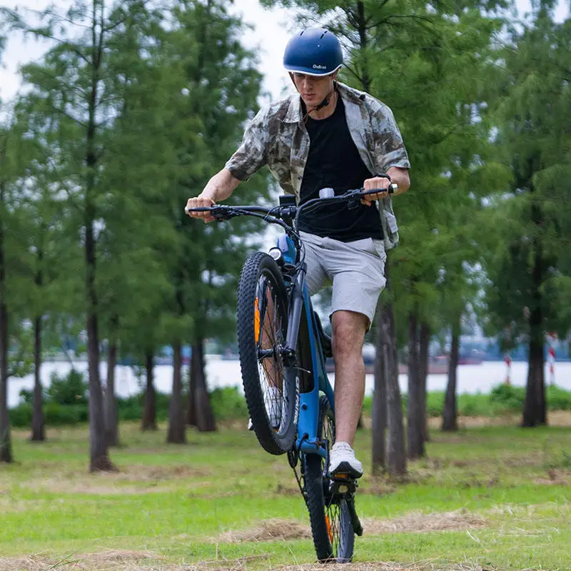 48V 750W Lithium Aluminum Alloy Smart Folding Electric City Bike IPX4 Waterproof 100kg Load Capacity 90-100km Range for Adults