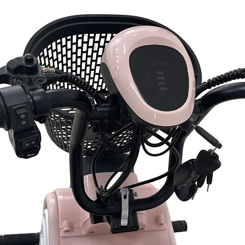 Holladay Small Electric Tricycles Adult Parent-child Electric City Scooter Bicycles Urban Mini Pet Scooters for Walking Dogs
