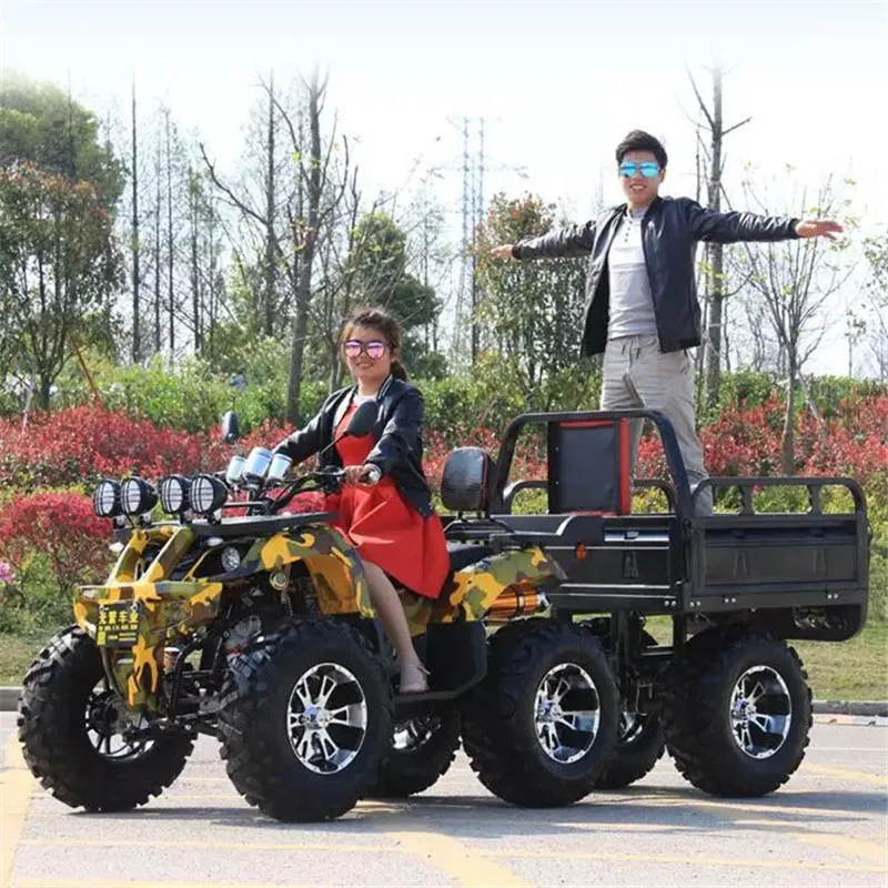 Adult Atv 4x4 Agriculture 250cc 350cc Cargo Farm Atv with Trailer
