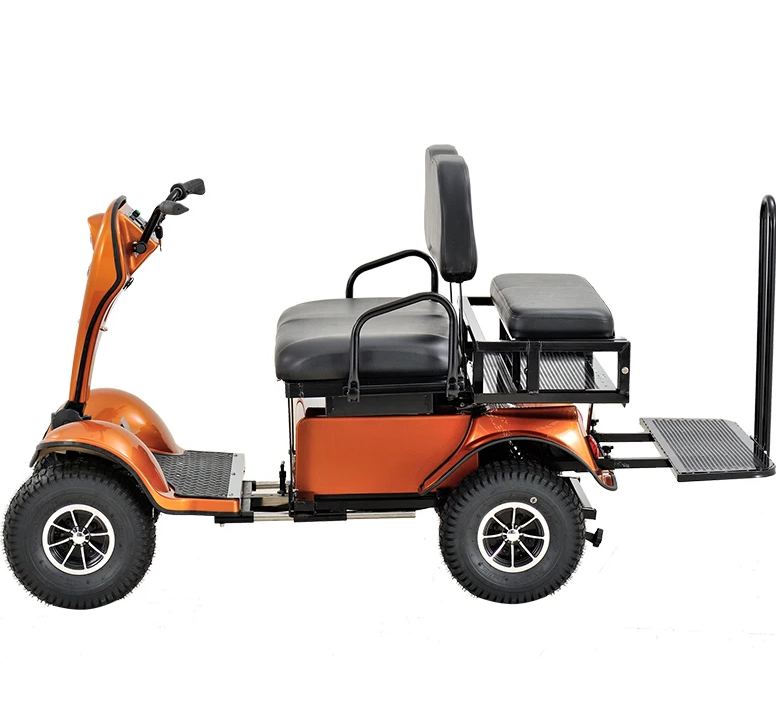 2-Seater Electric Mobility Scooter Handicapped and Disabled Scooter for Motorcycles