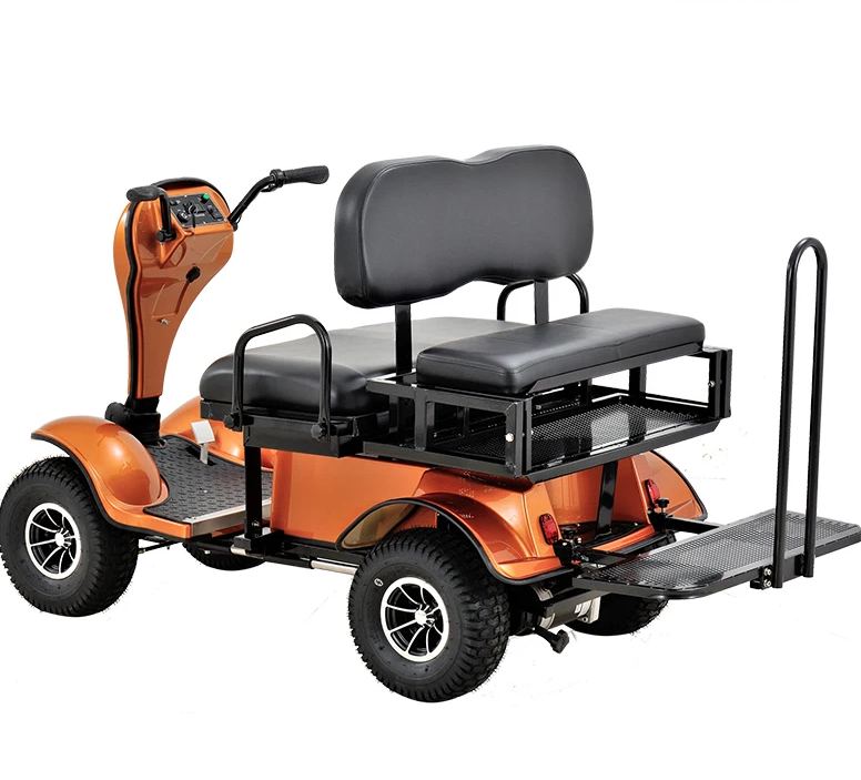 2-Seater Electric Mobility Scooter Handicapped and Disabled Scooter for Motorcycles
