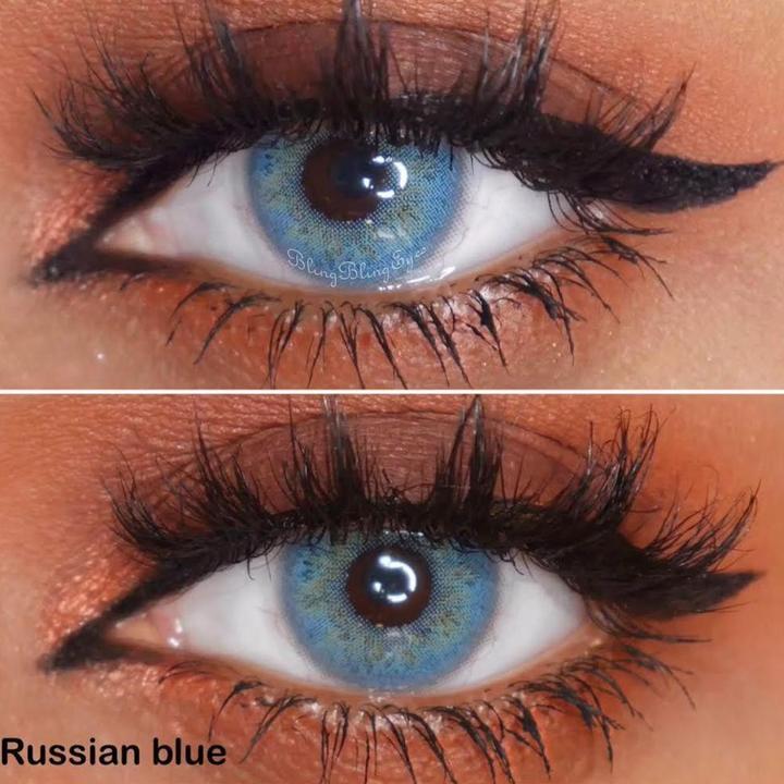 Russia Blue | 1 Year