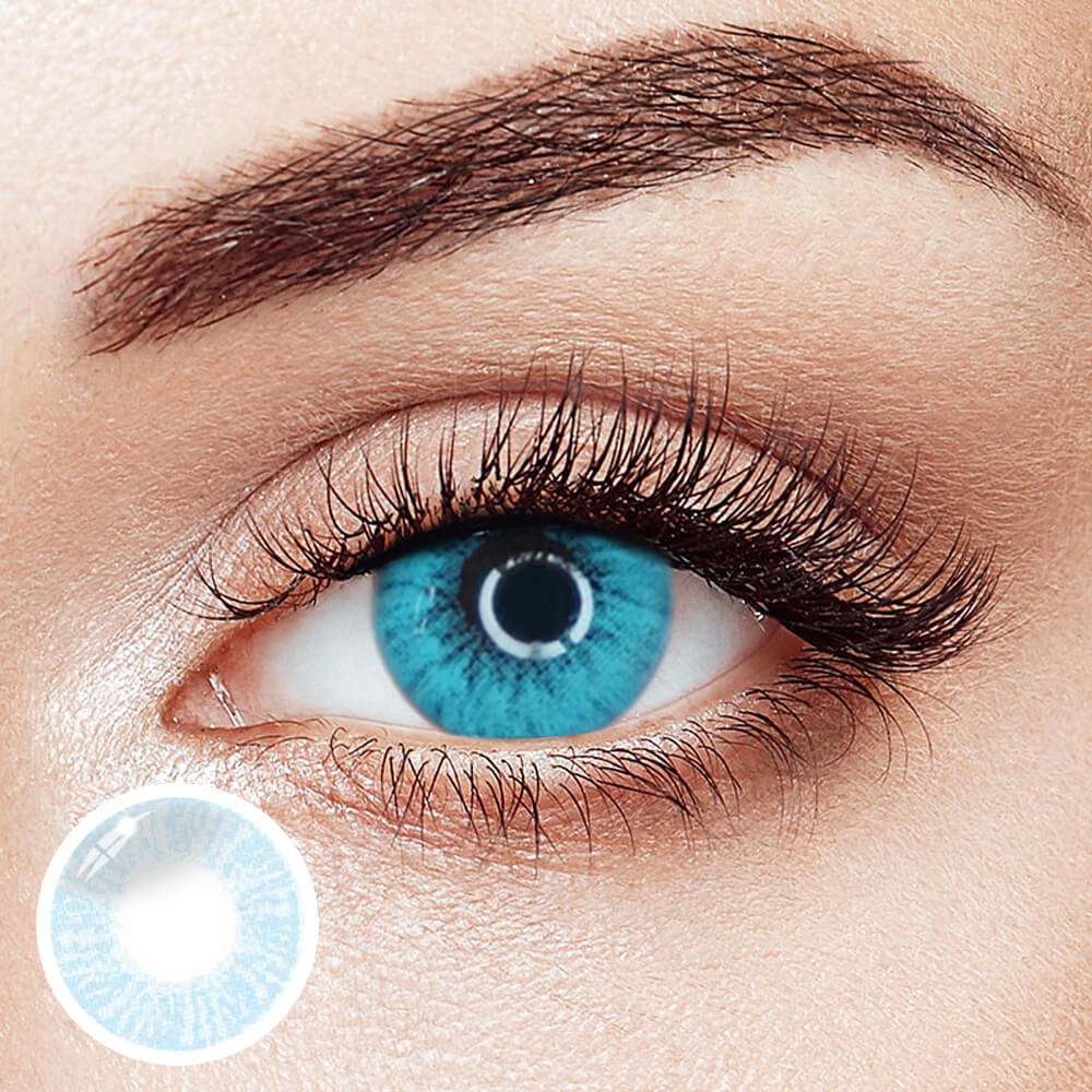 Lee Bible Blue | 1 Year