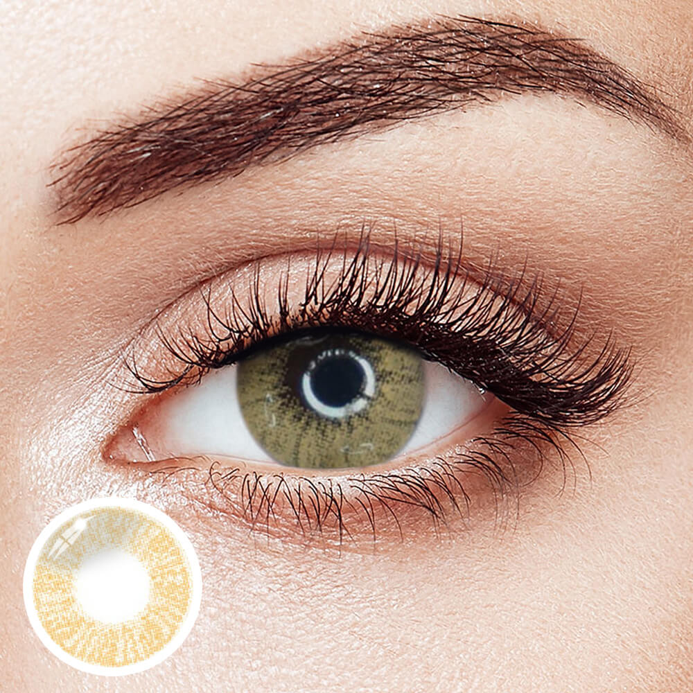 Lee Bible Brown | 1 Year