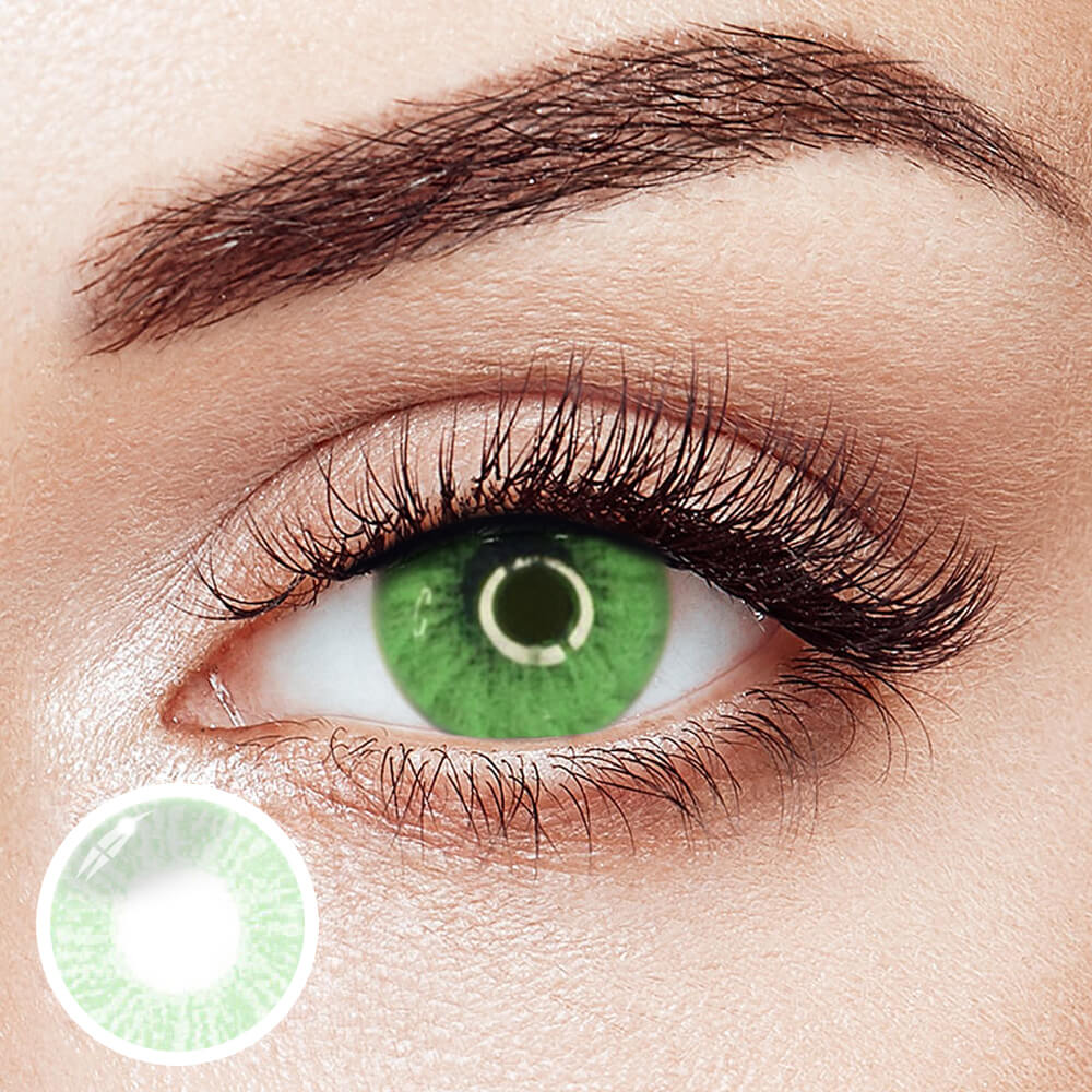 Lee Bible Green | 1 Year