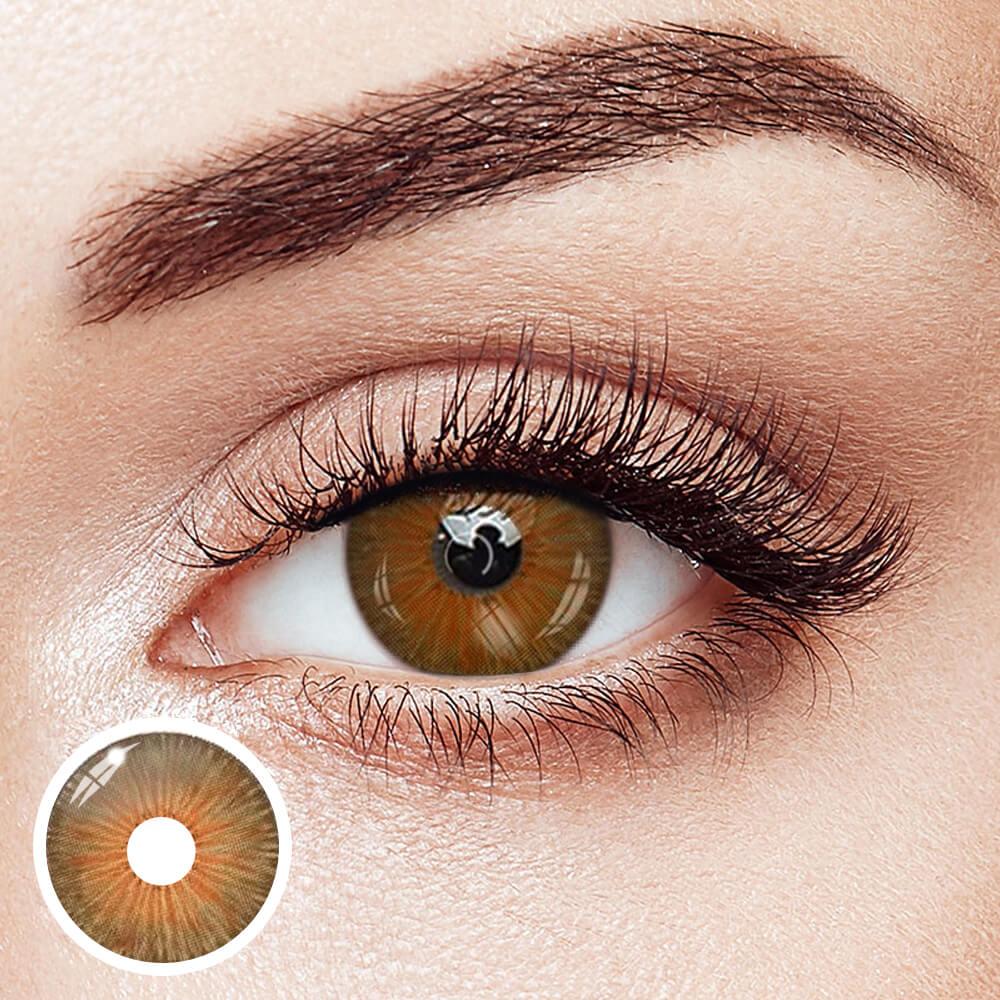 New York N Hazel | 1 Year