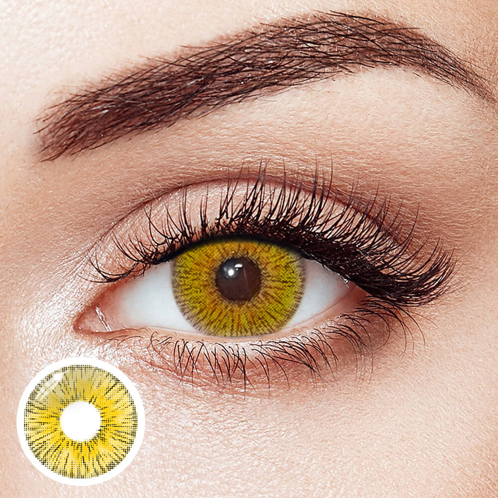 Retro Panama | 1 Year