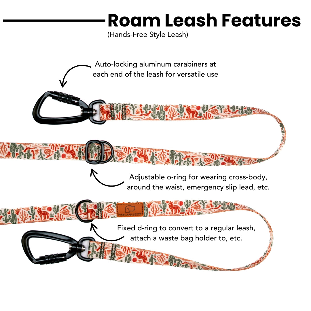 Blood Orange Dog Collar & leash