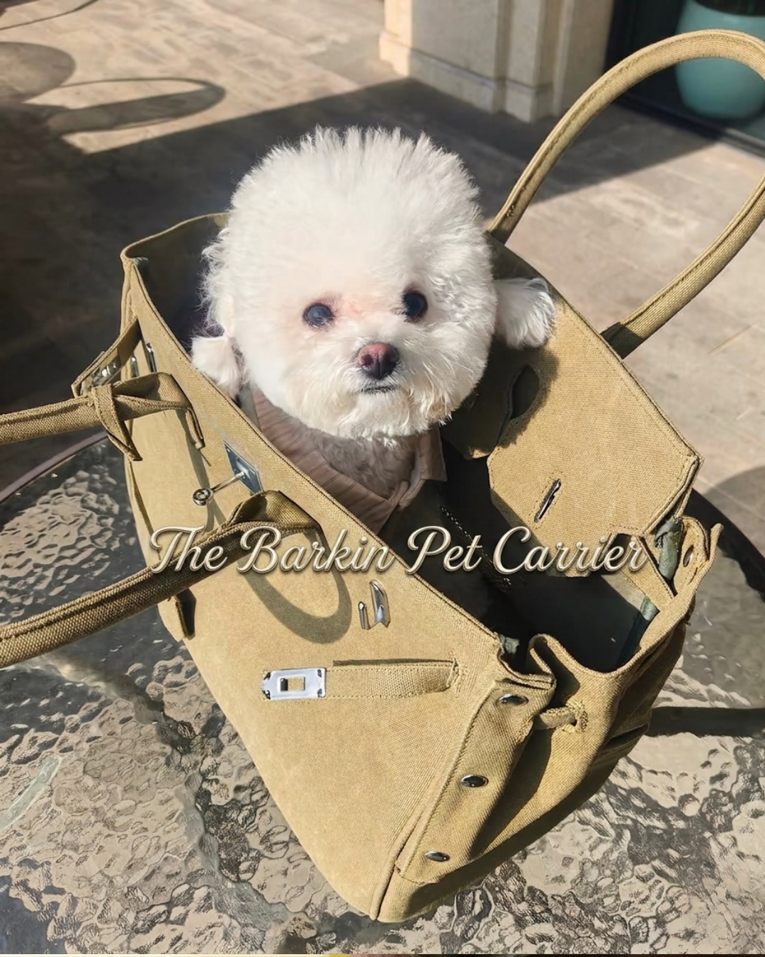 The Barkin Pet Carrier