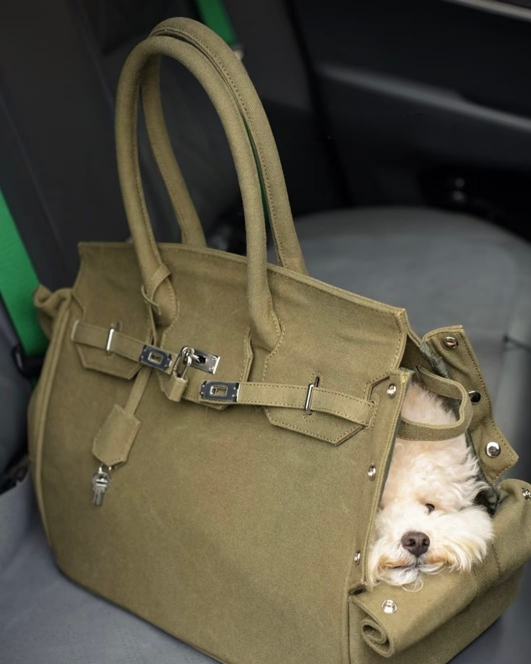 The Barkin Pet Carrier