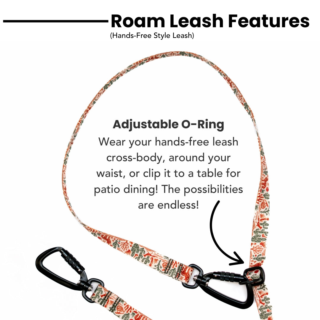 Blood Orange Dog Collar & leash