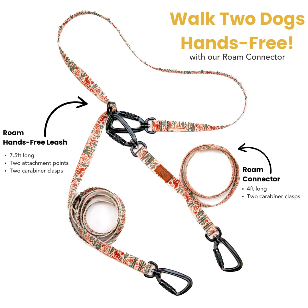 Blood Orange Dog Collar & leash
