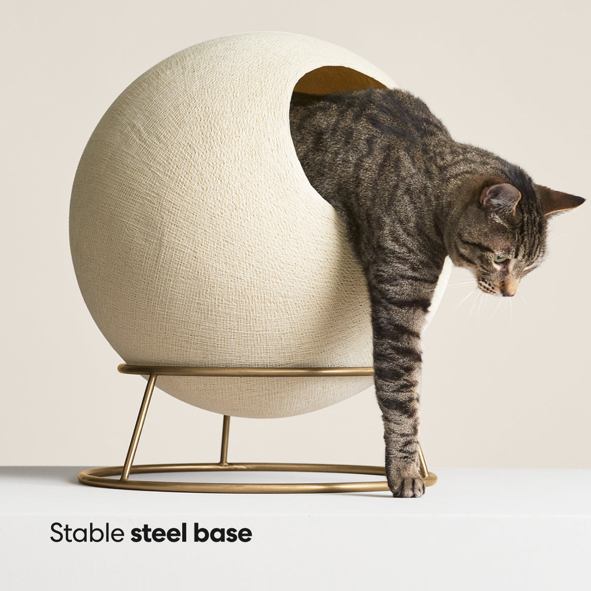 Stellar Cat Bed