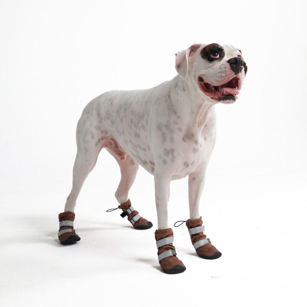 Dog Rainboots, Waterproof Dog Shoes - 4 individual shoes