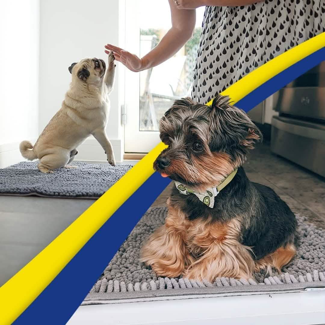 Runanuan muddy Mat - Anti-Mud Dog Door Mat
