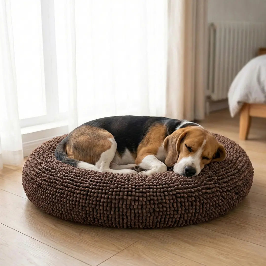 Best Anxiety Beds for Dogs｜Cloud Bed