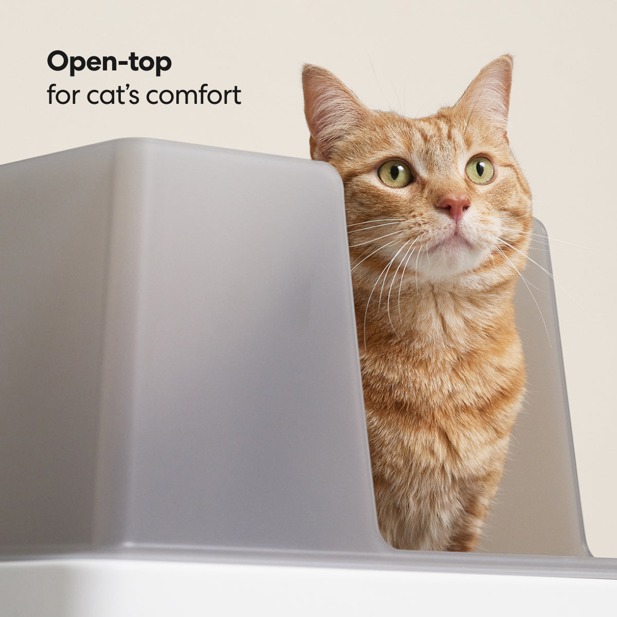 Cove Litter Box