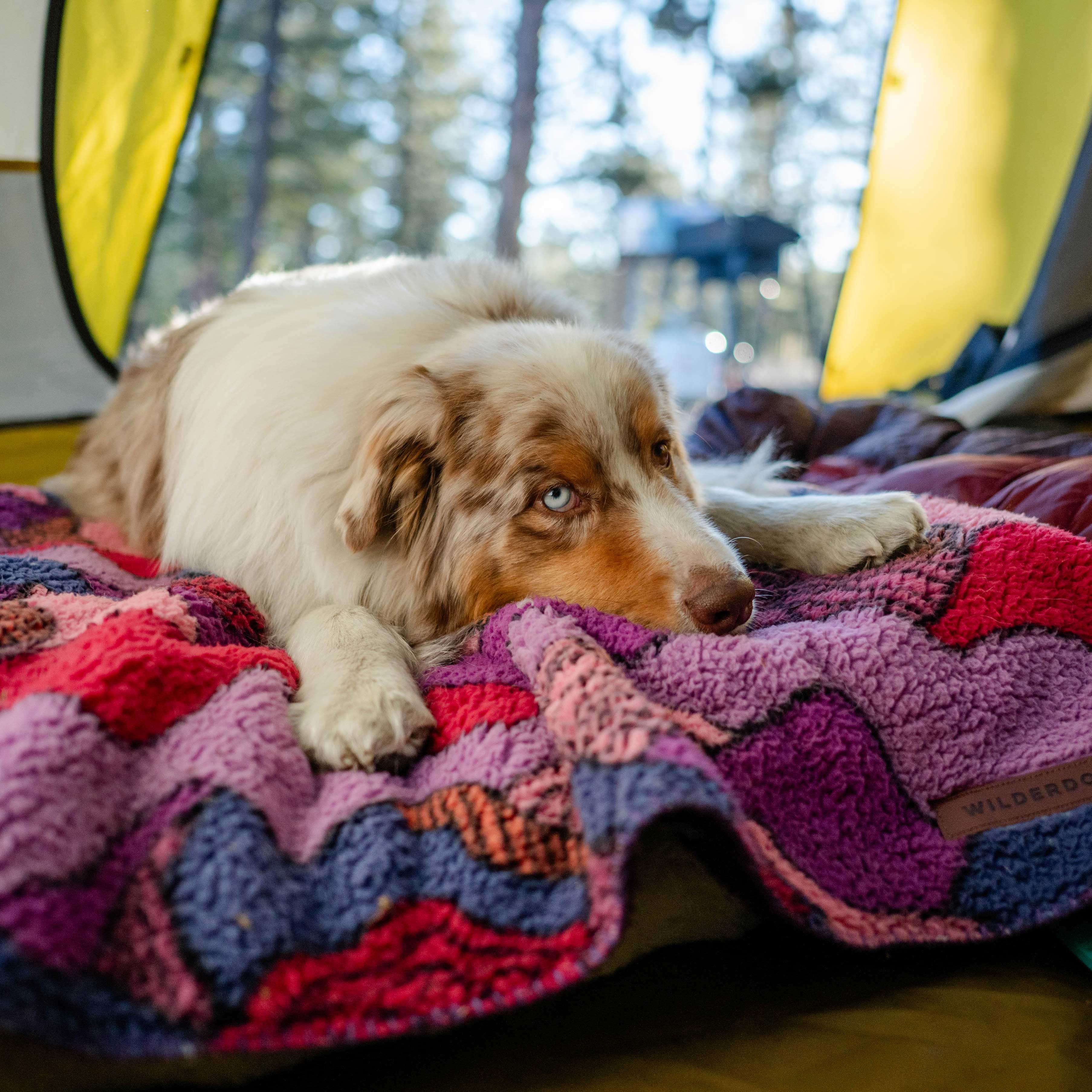 Sherpa Fleece Waterproof Blanket