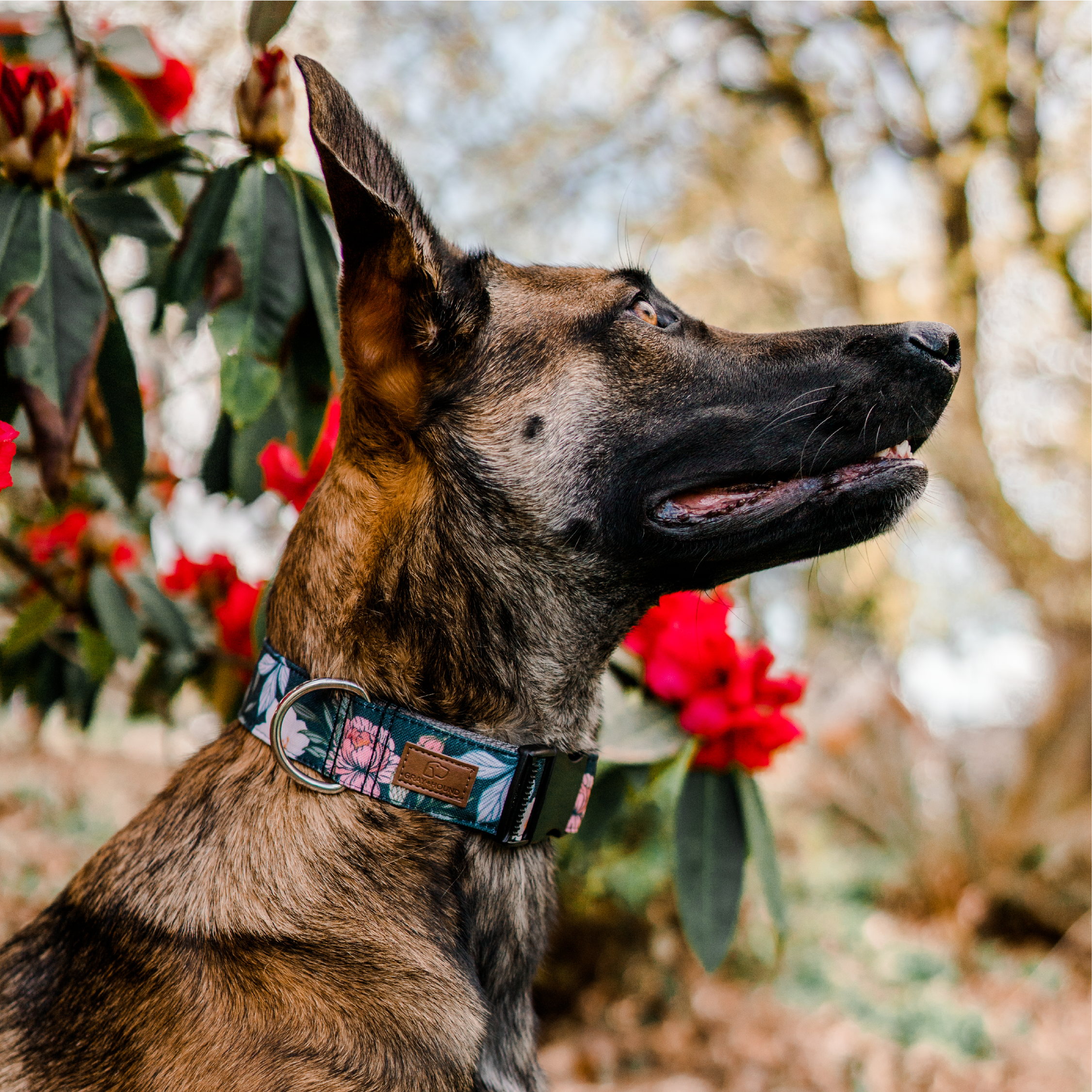 Dusk Floral Collar