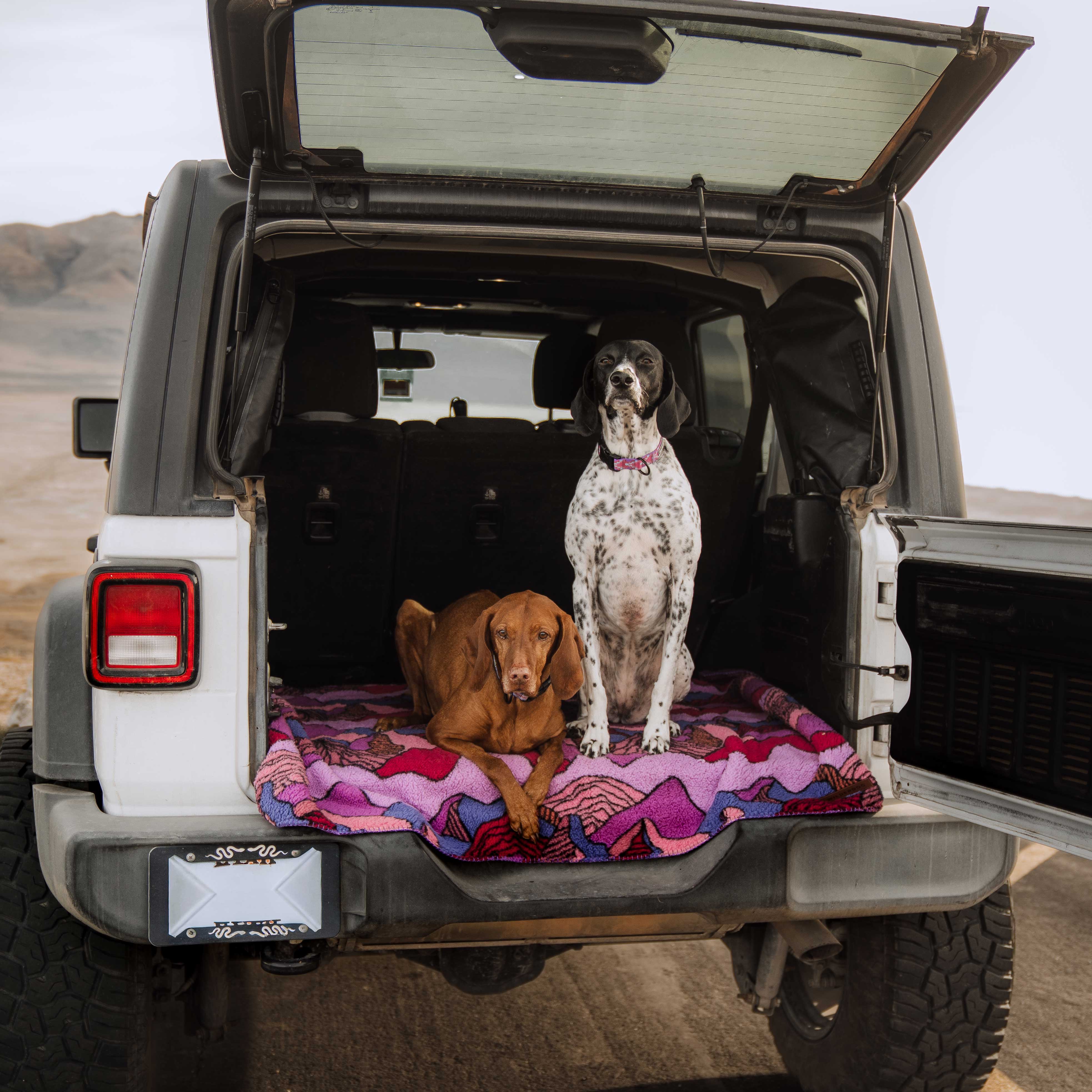 Sherpa Fleece Waterproof Blanket