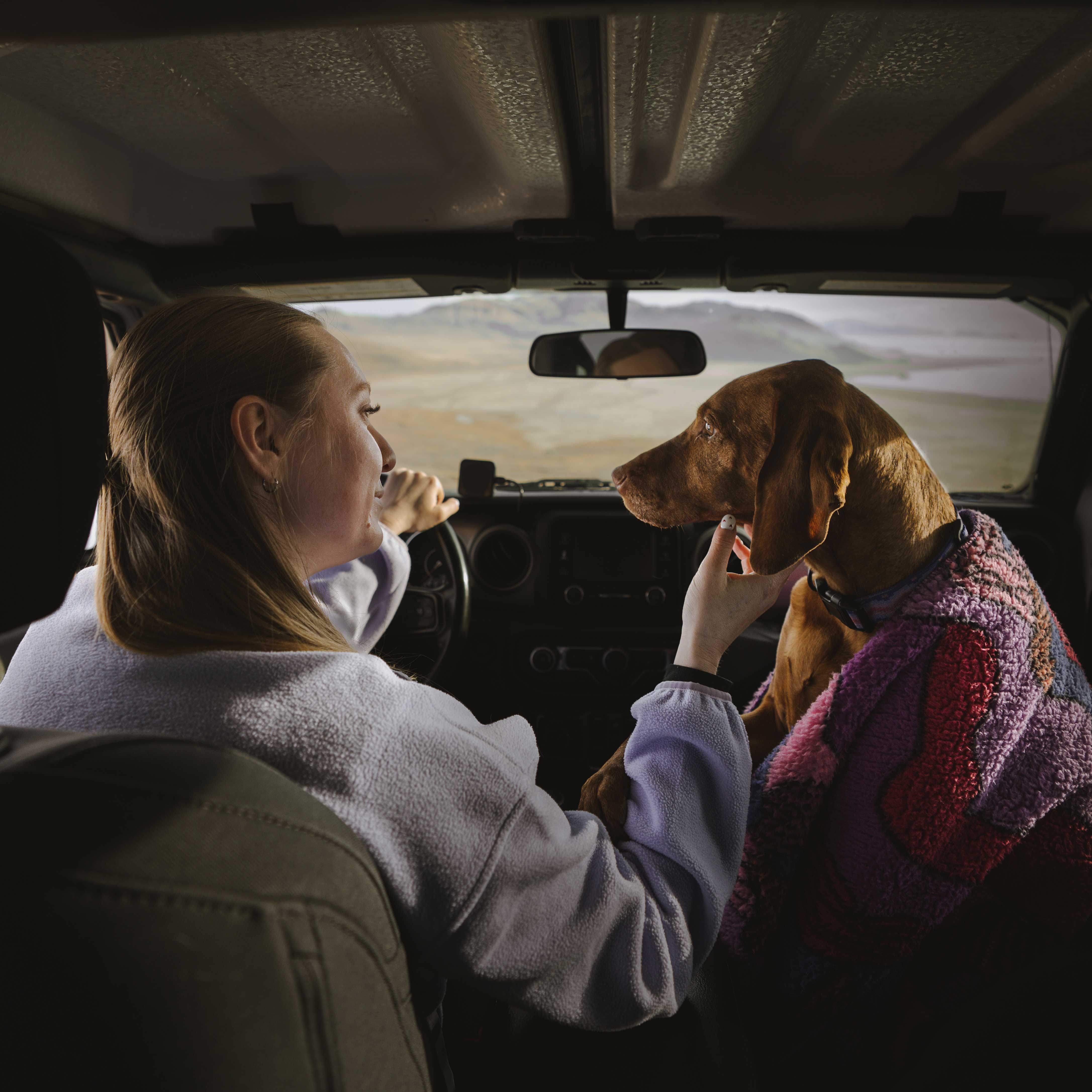 Sherpa Fleece Waterproof Blanket