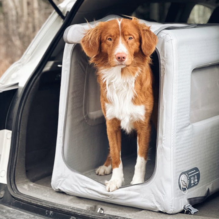 Refurbished Enventur Inflatable Travel Kennel