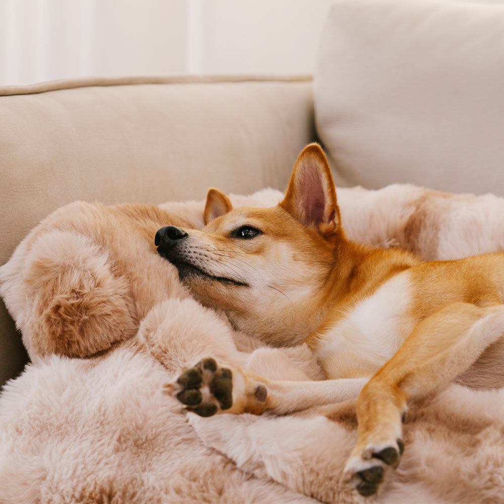 Fluffy Calming Dog Bed Sofa Protector Pet Mat