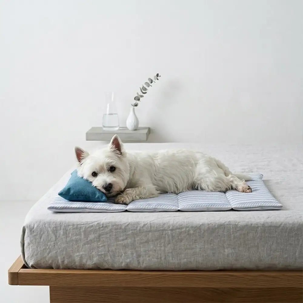 Refreshing Striped Cooling Ice Silk Non-Slip Dog Mat with Pillow