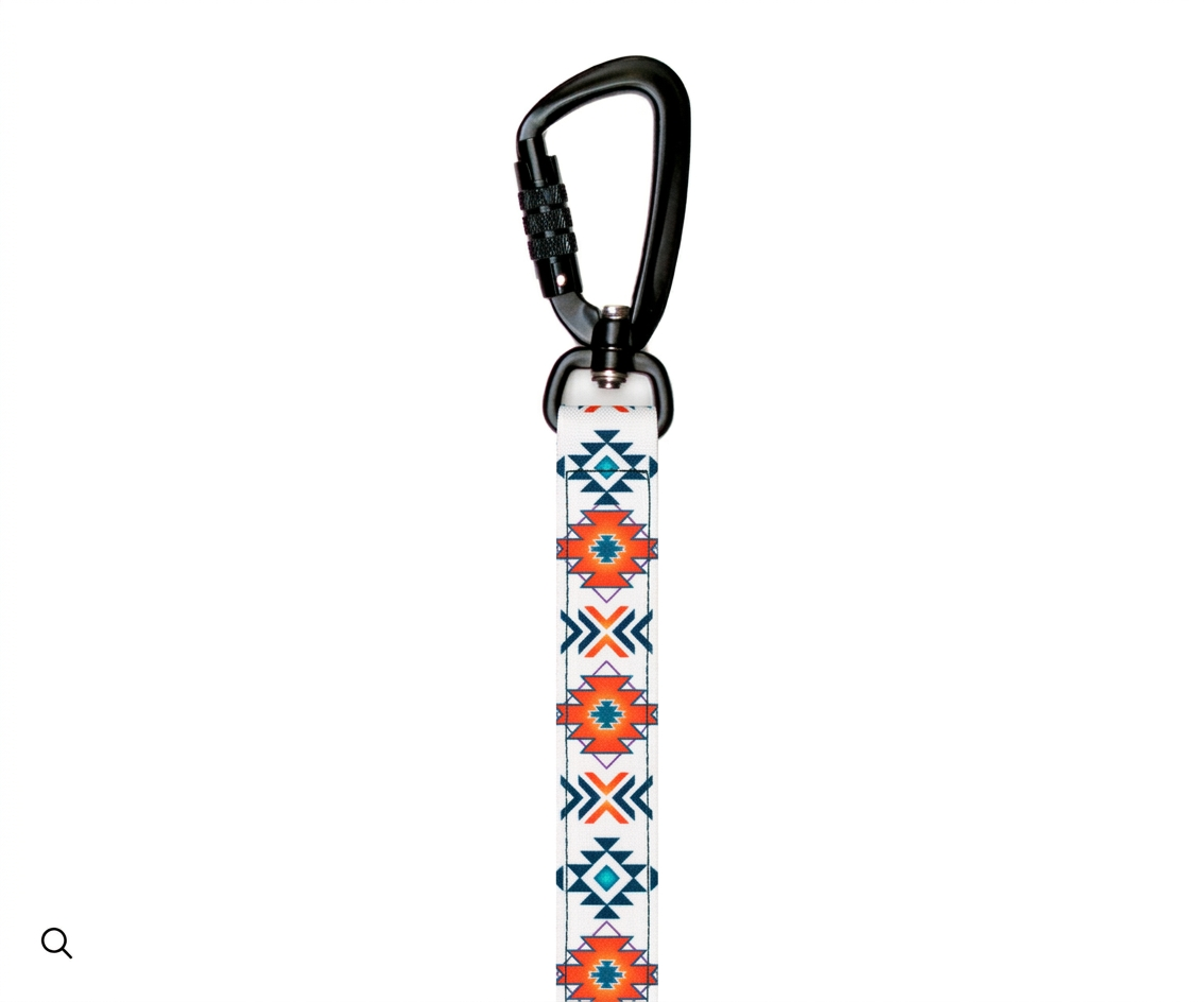 Blood Orange Dog Collar & leash