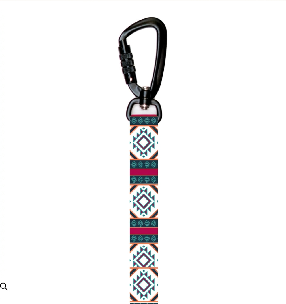Painted Hills Dog Collar& leash