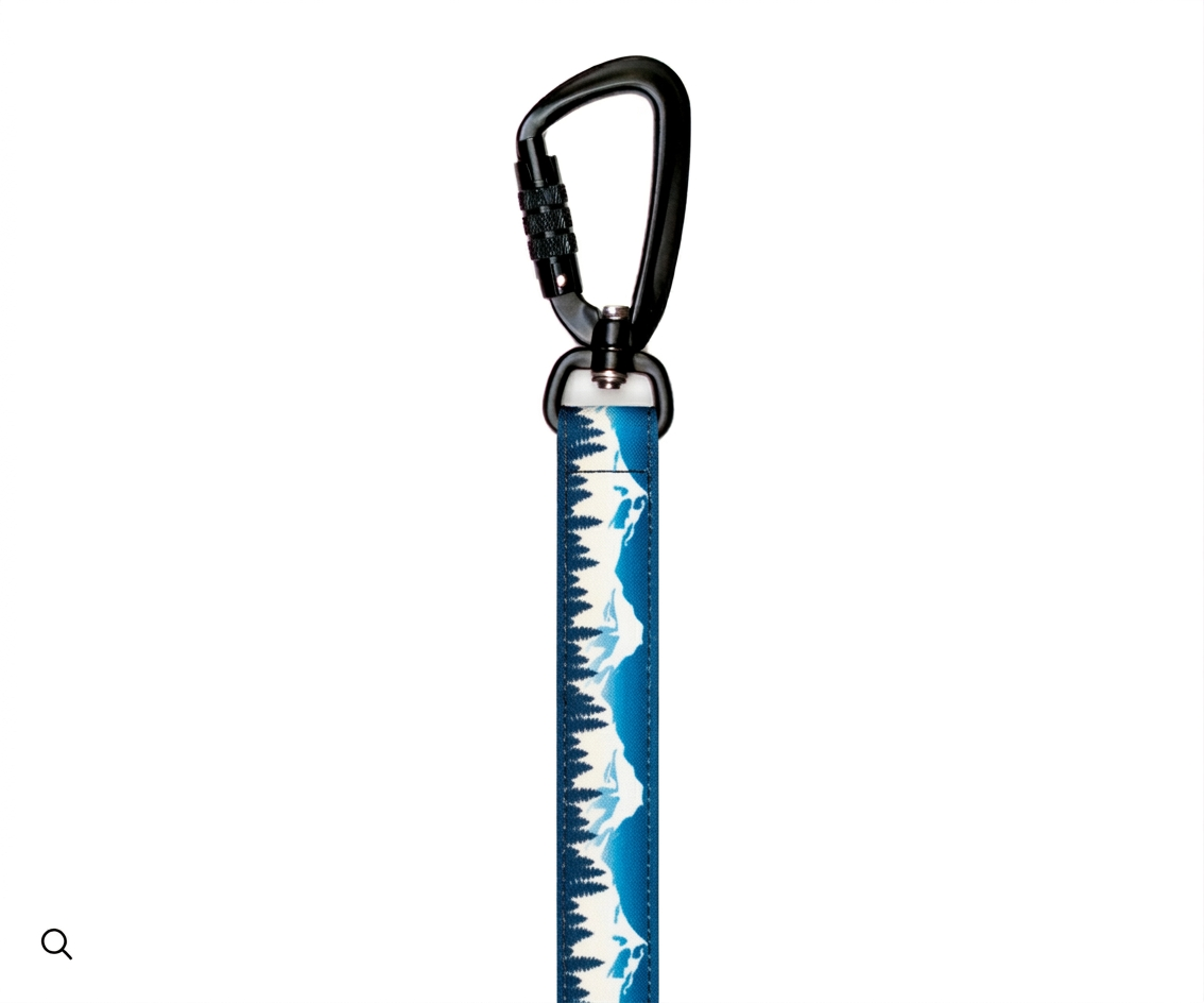 Blue Ridge Mountain Dog Collar & leash