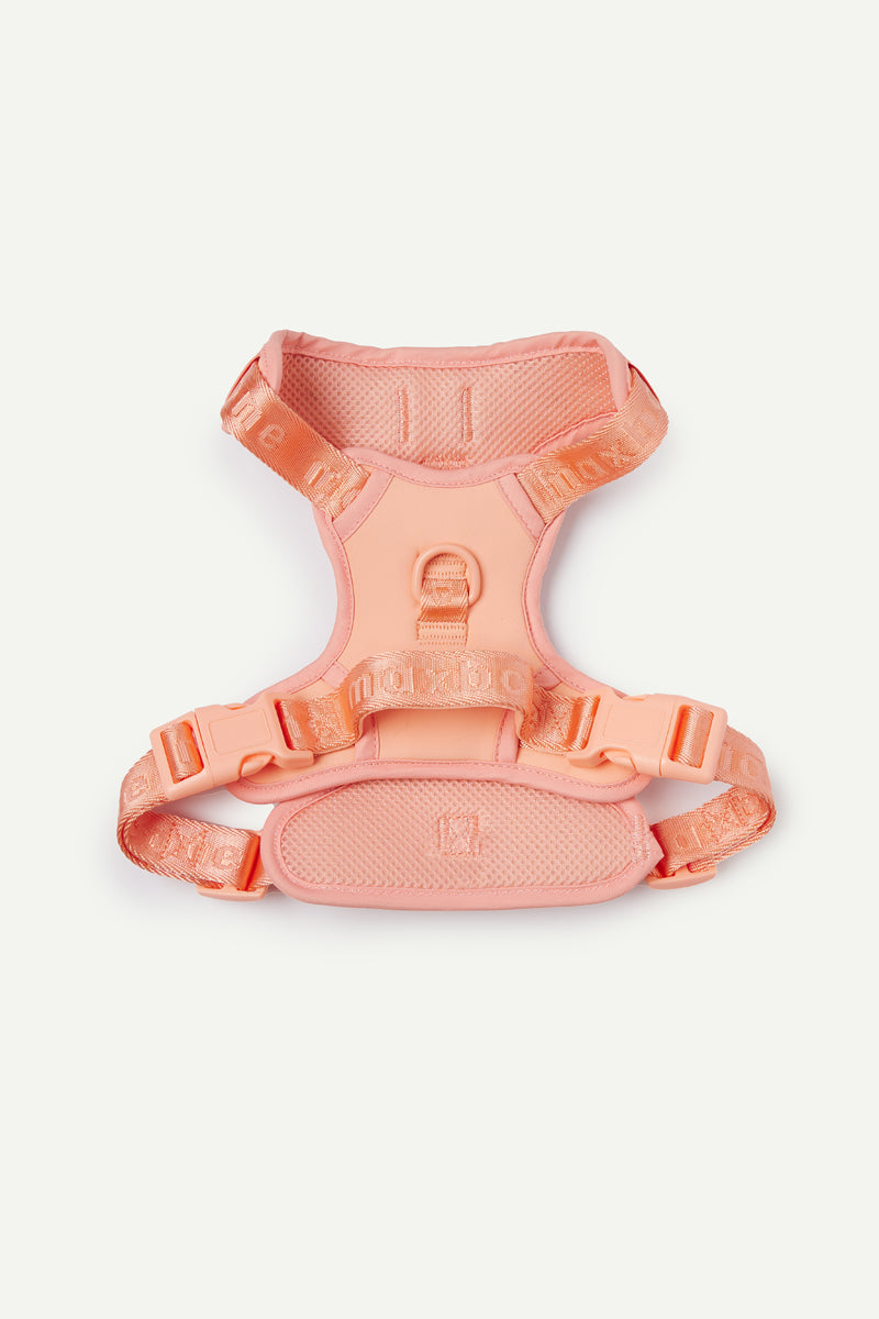 Go! With Ease Leash Bundle