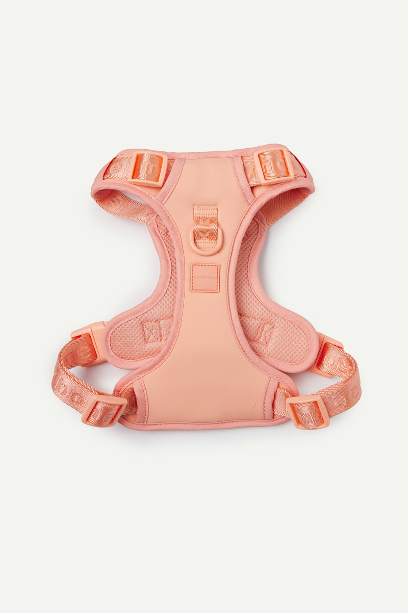 Go! With Ease Leash Bundle