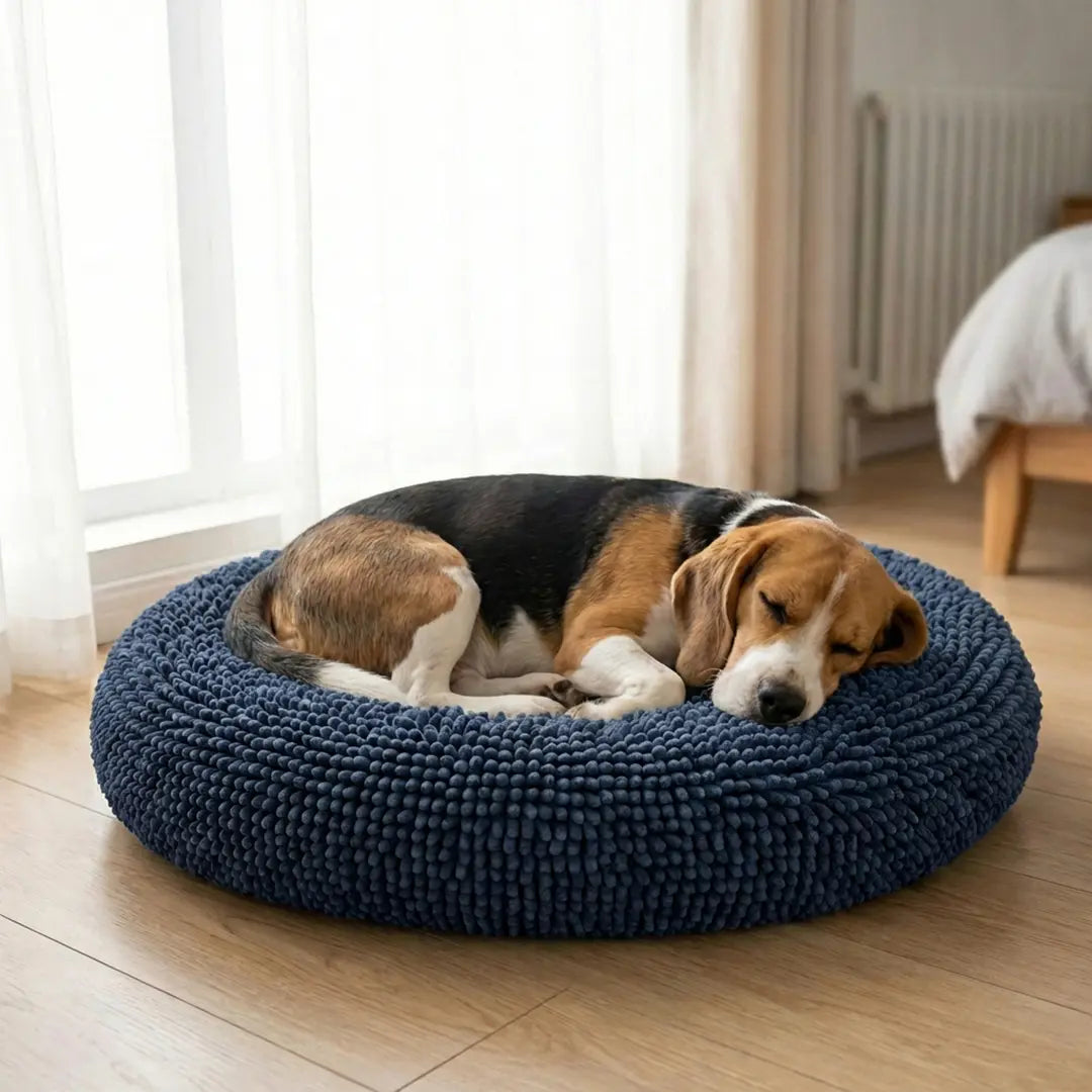 Best Anxiety Beds for Dogs｜Cloud Bed