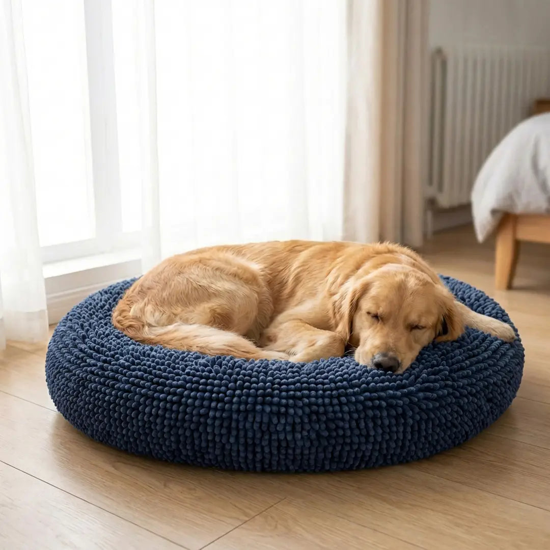 Best Anxiety Beds for Dogs｜Cloud Bed