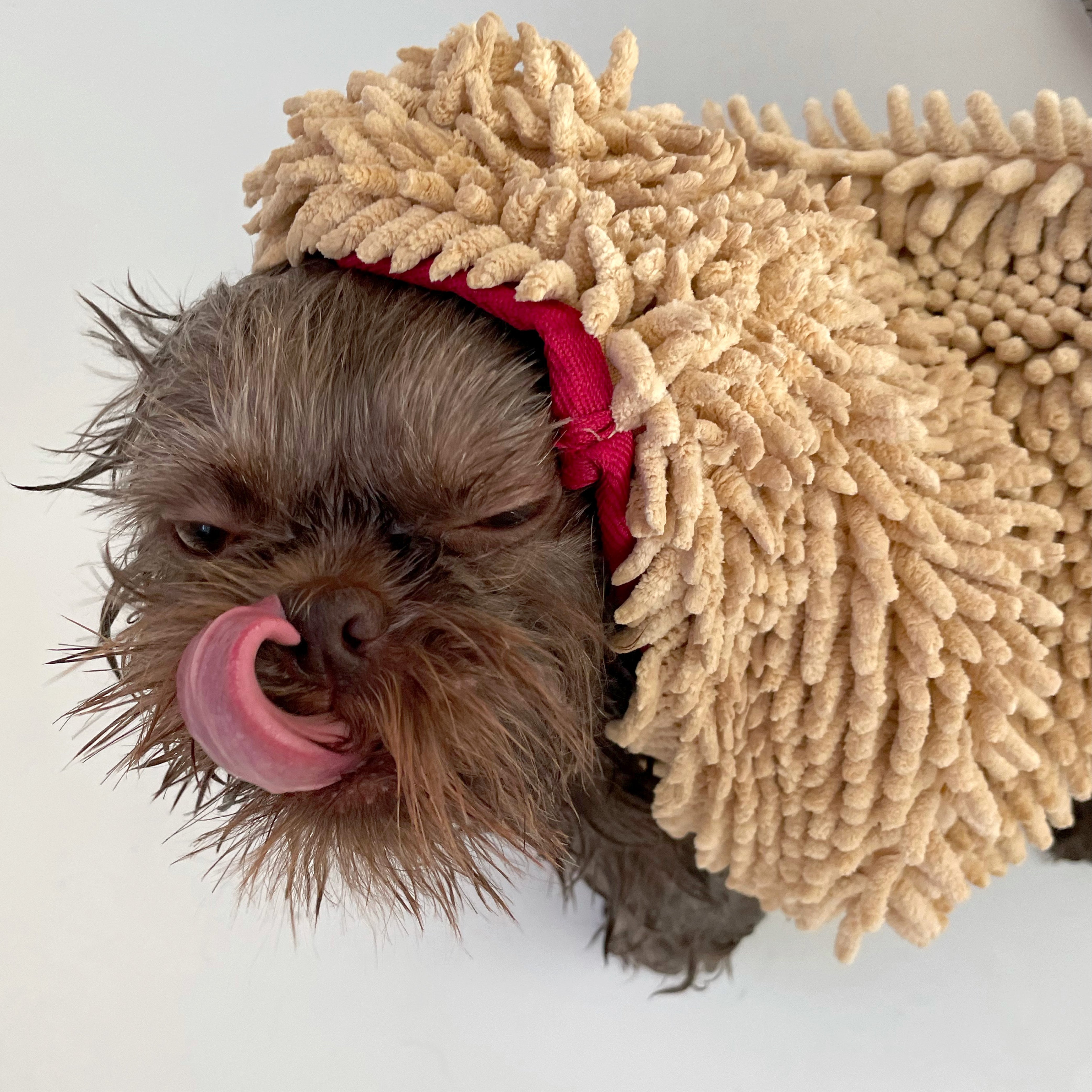 Pride + Groom THE TOWEL Microfiber Dog & Cat Drying Towel