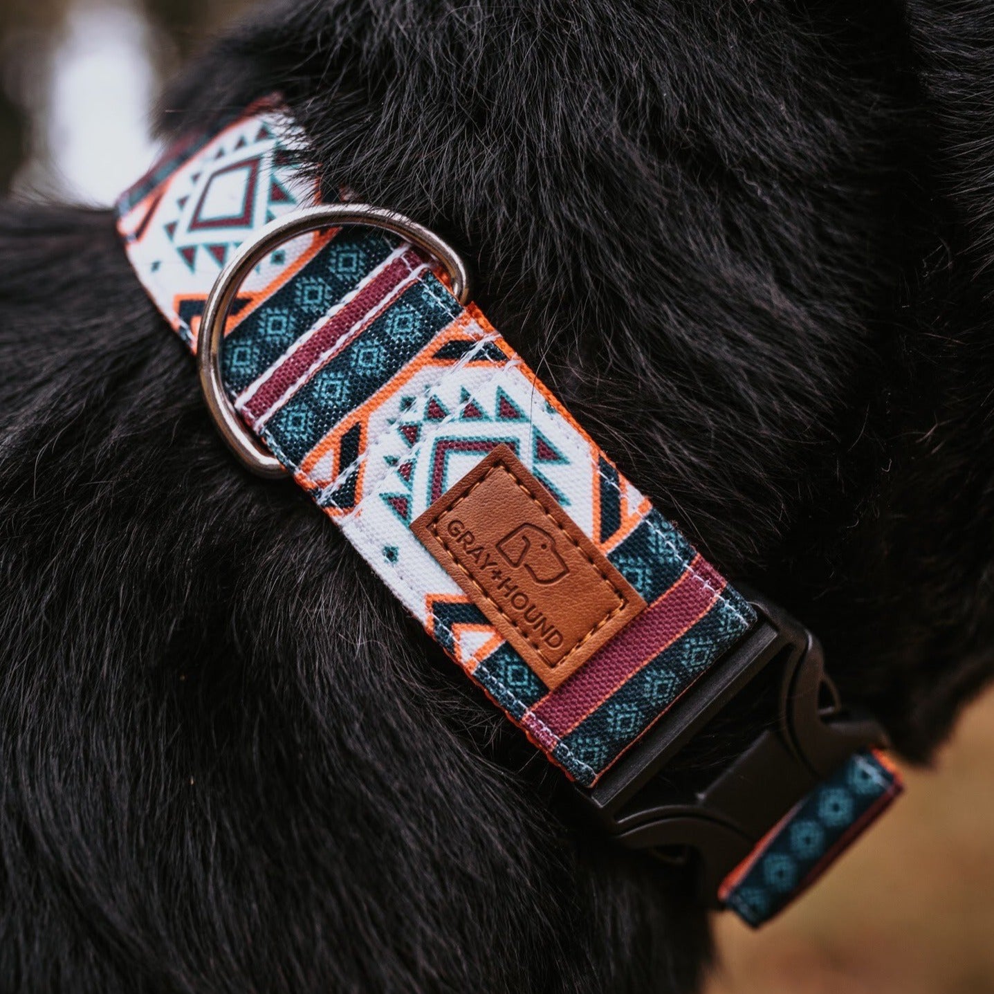 Painted Hills Collar