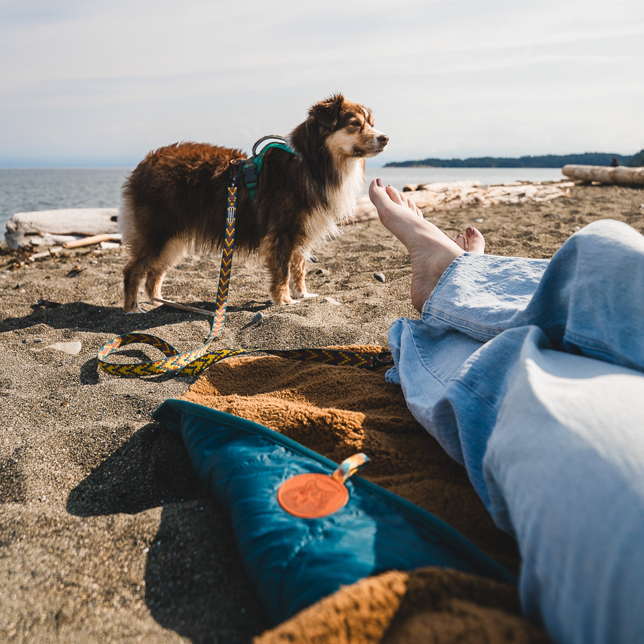 Picnic Blanket