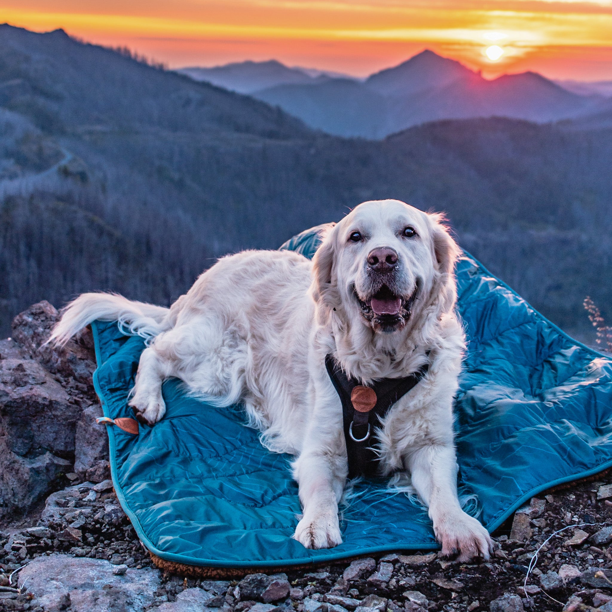 Picnic Blanket
