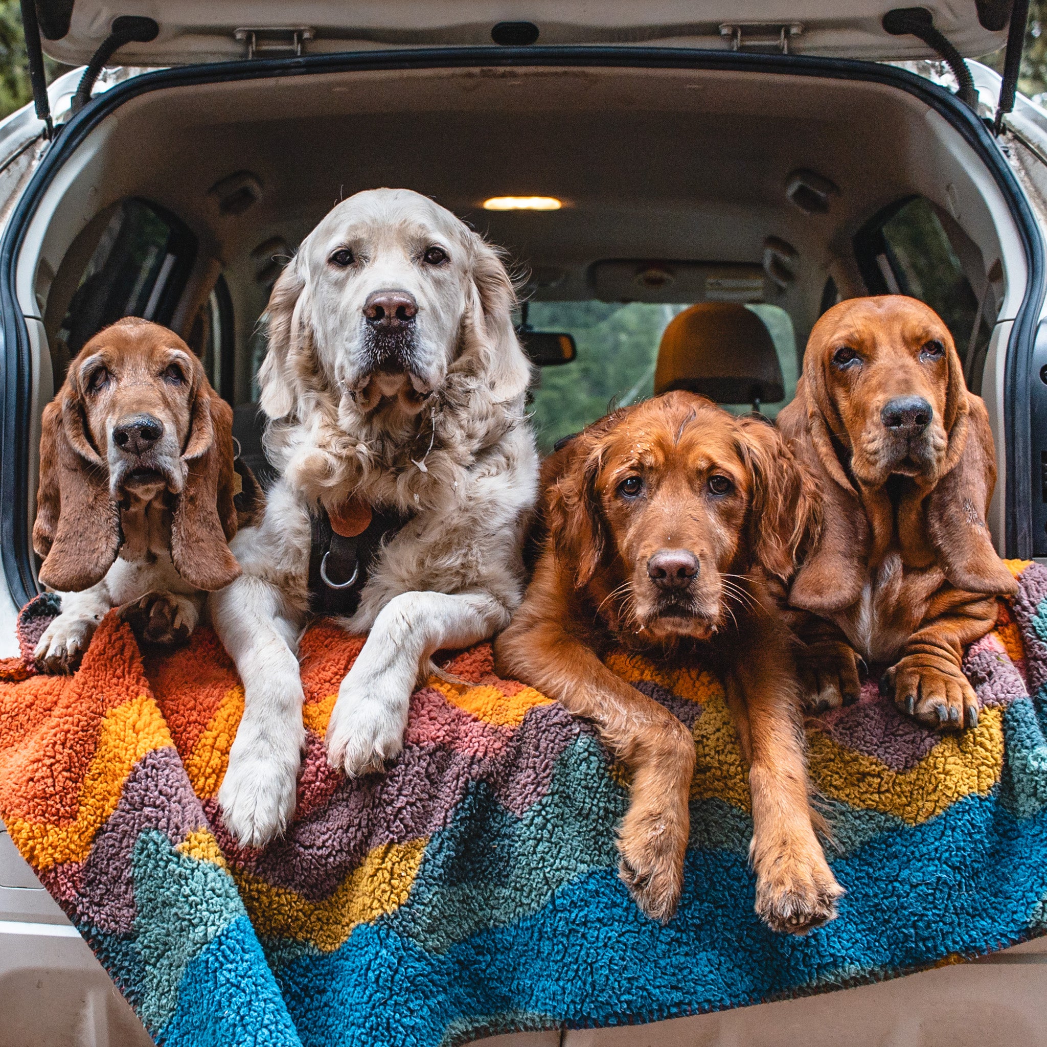 Sherpa Fleece Waterproof Blanket