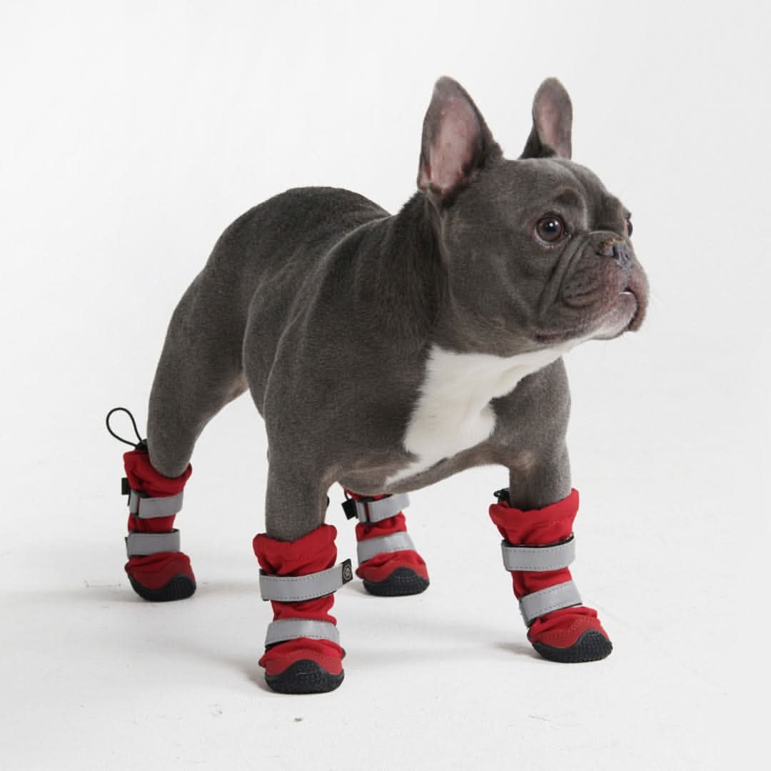 Dog Rainboots, Waterproof Dog Shoes - 4 individual shoes