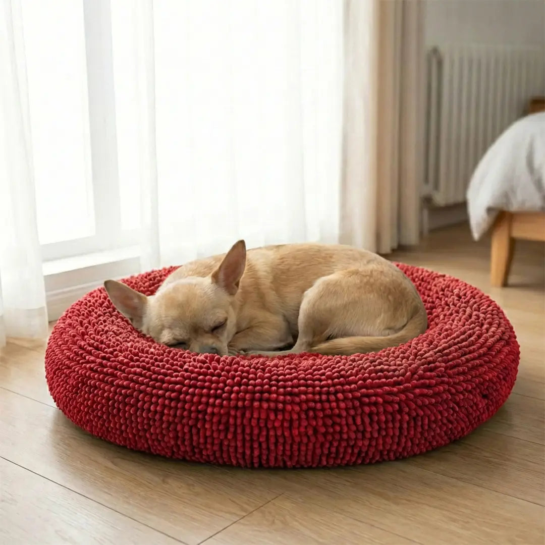 Best Anxiety Beds for Dogs｜Cloud Bed