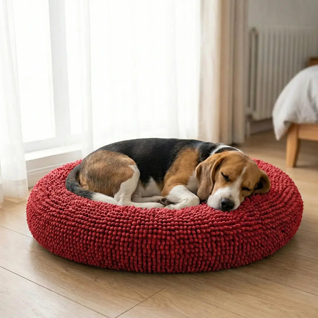 Best Anxiety Beds for Dogs｜Cloud Bed