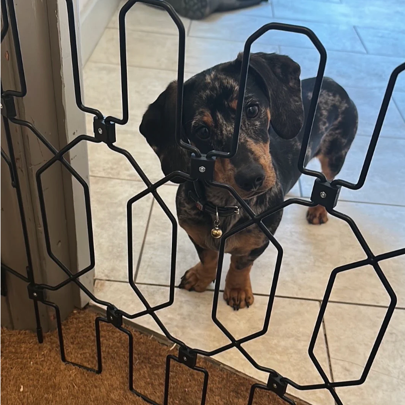 Ruannuan Front Doors for dogs